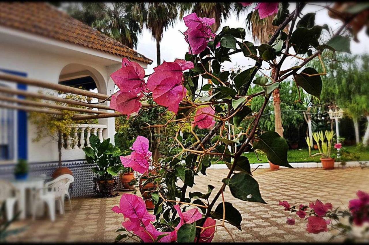 Casa Rural Finca Real De Niebla Bagian luar foto